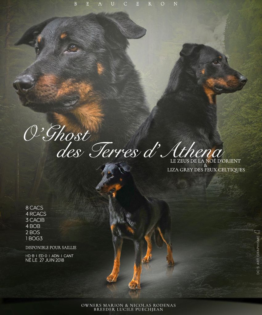 O'ghost Des Terres d'Athena